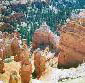 Hoodoos at Bryce Canyon